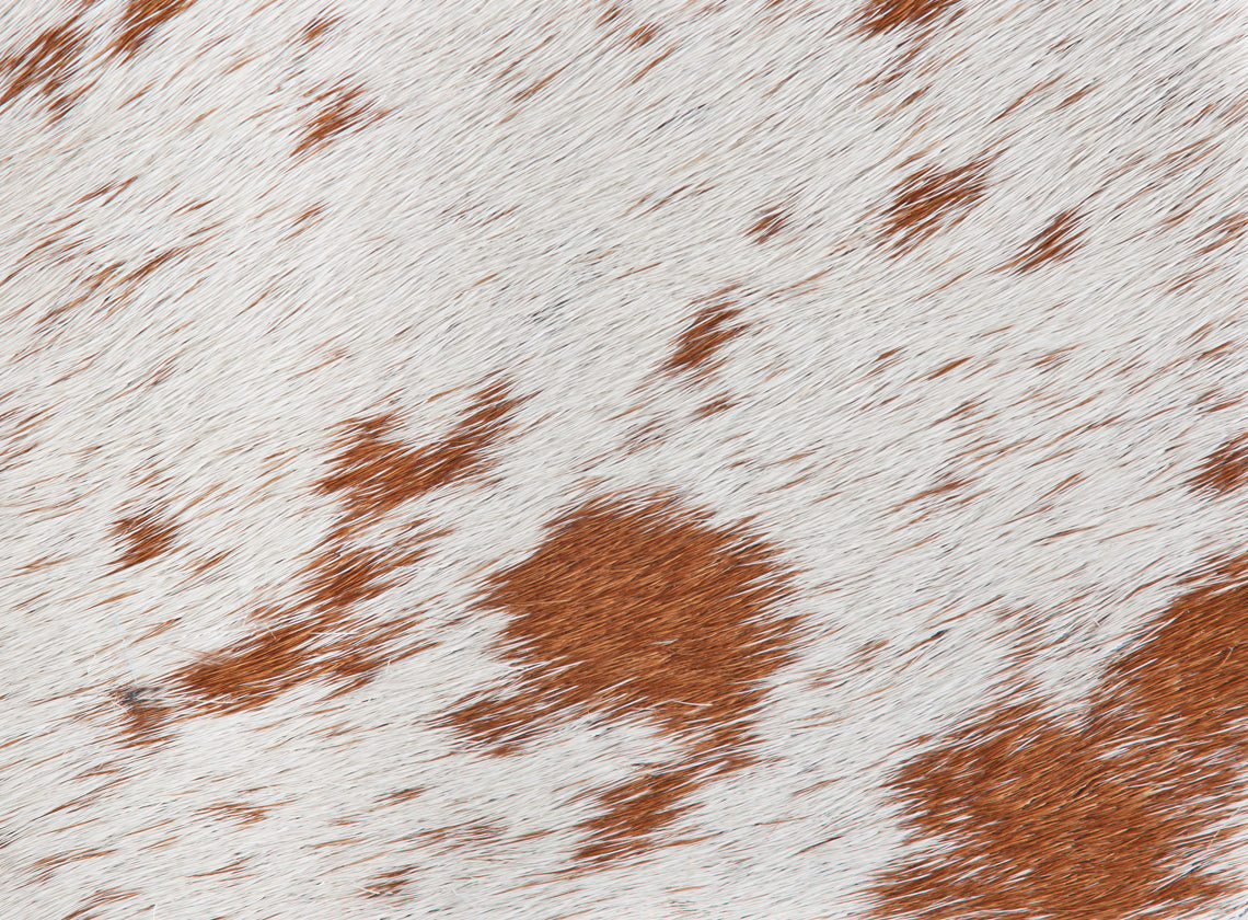 Brown & White Natural Cow Hide Rug