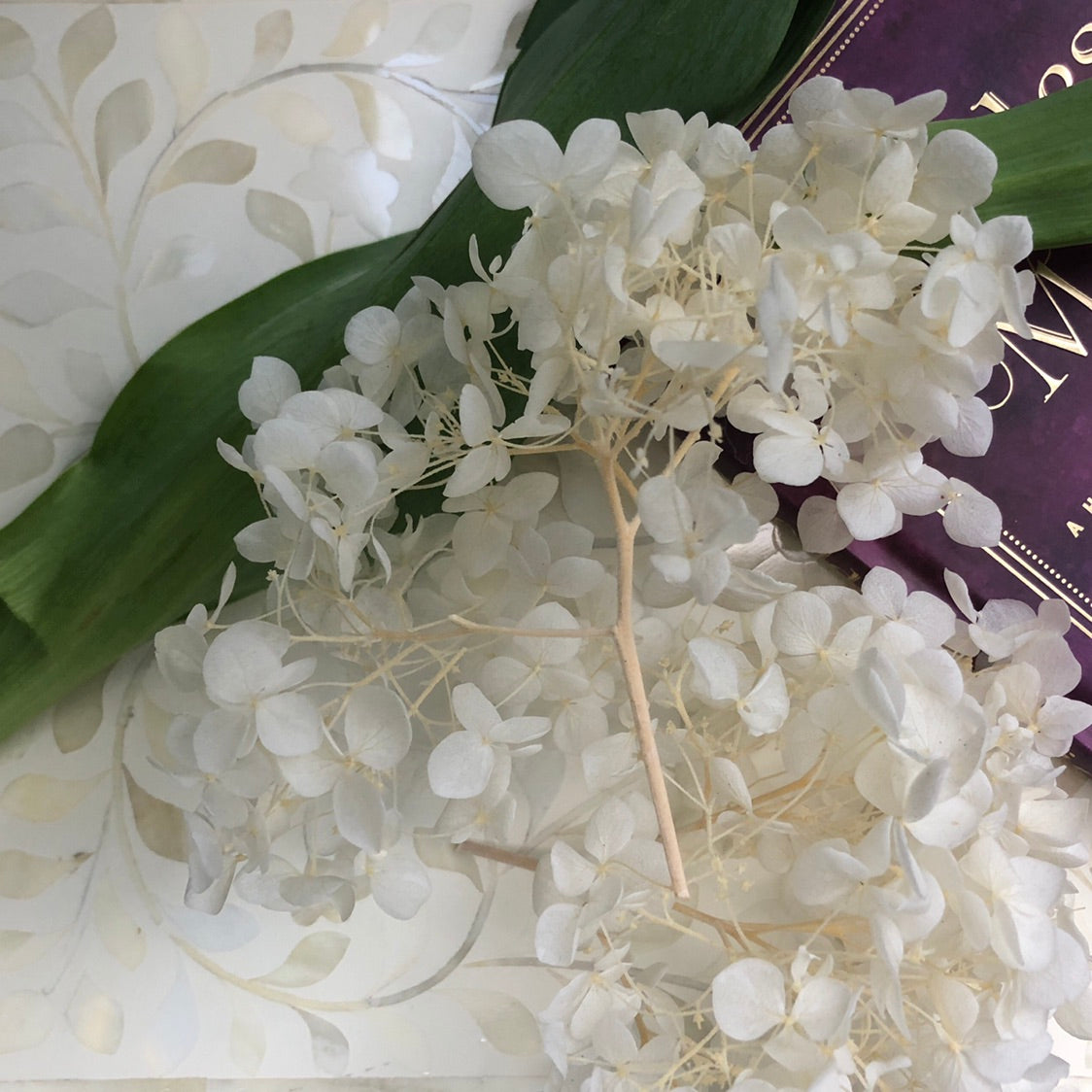 Zohi Interiors Signature Collection : Bone Inlay Large Box in Floral/White