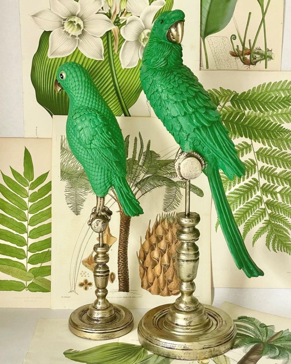 Parrot on Stand in Green