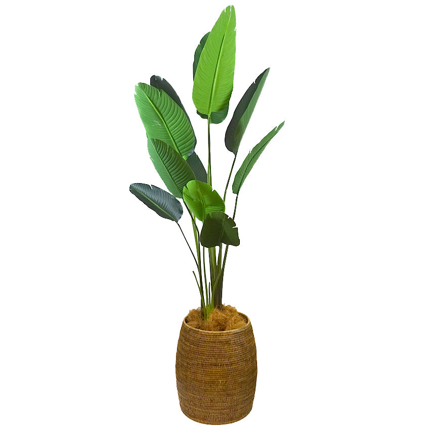 Rattan Drum Stool