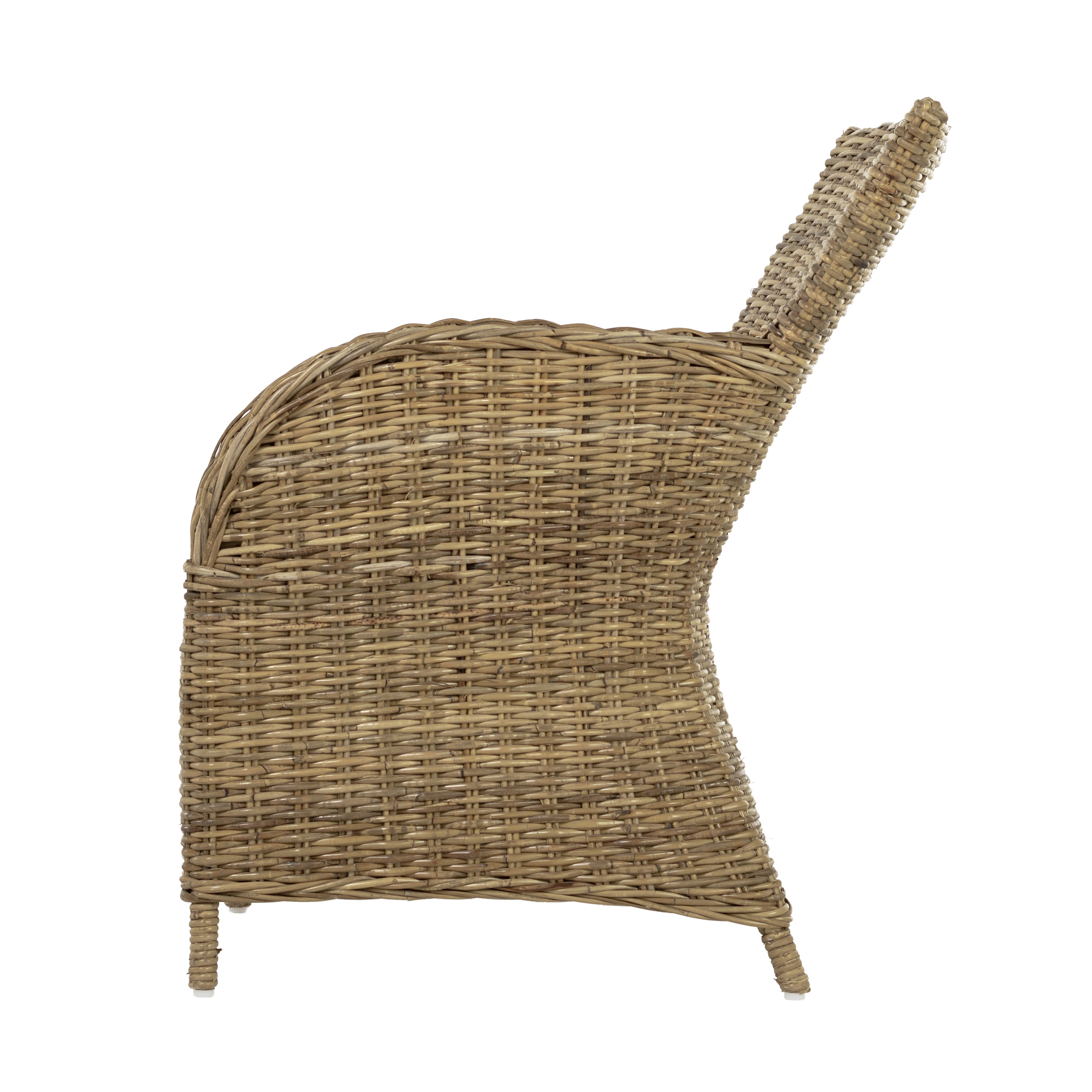 Tiana Beach Rook Dining Chair