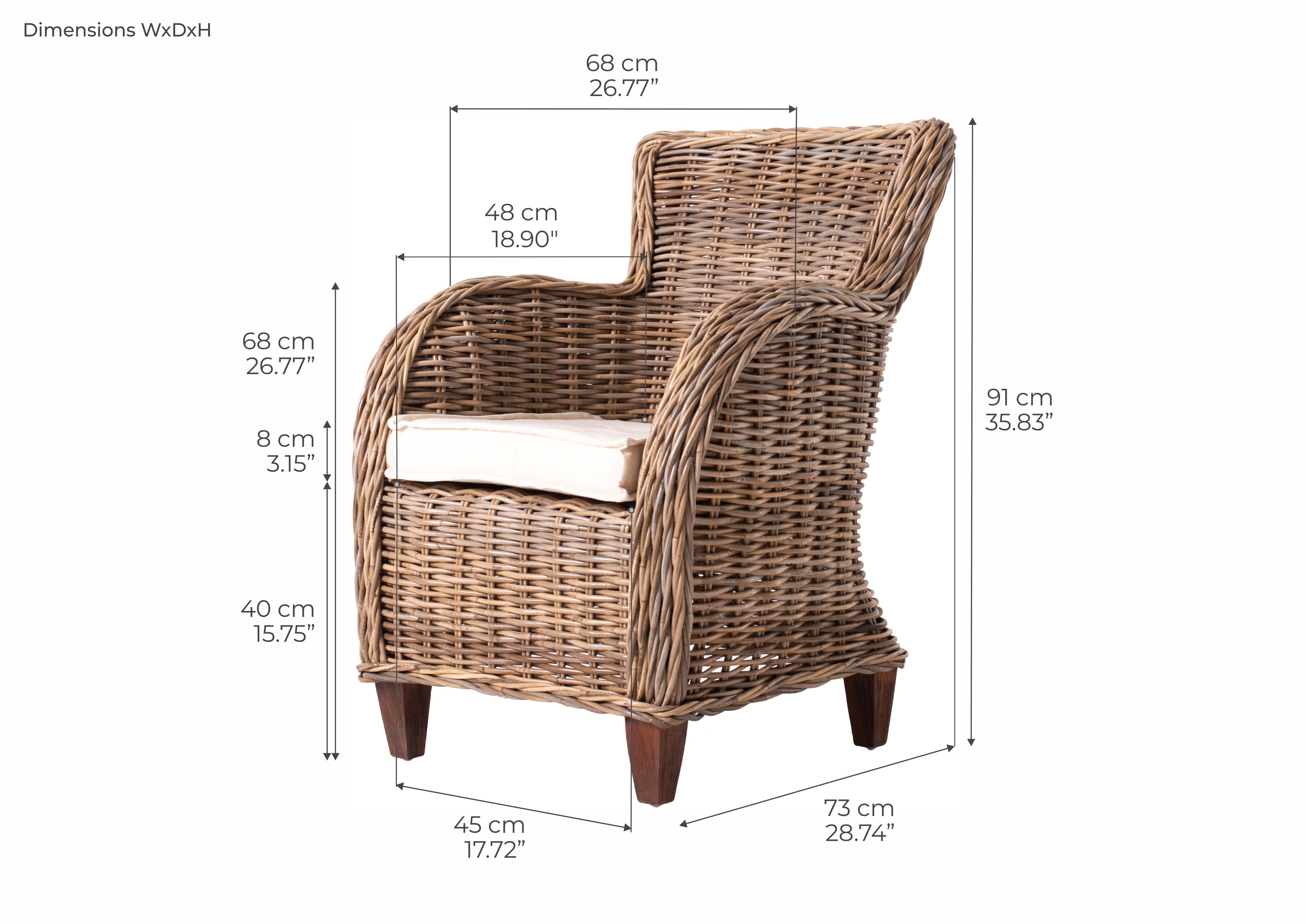 Tiana Beach Baron Chair
