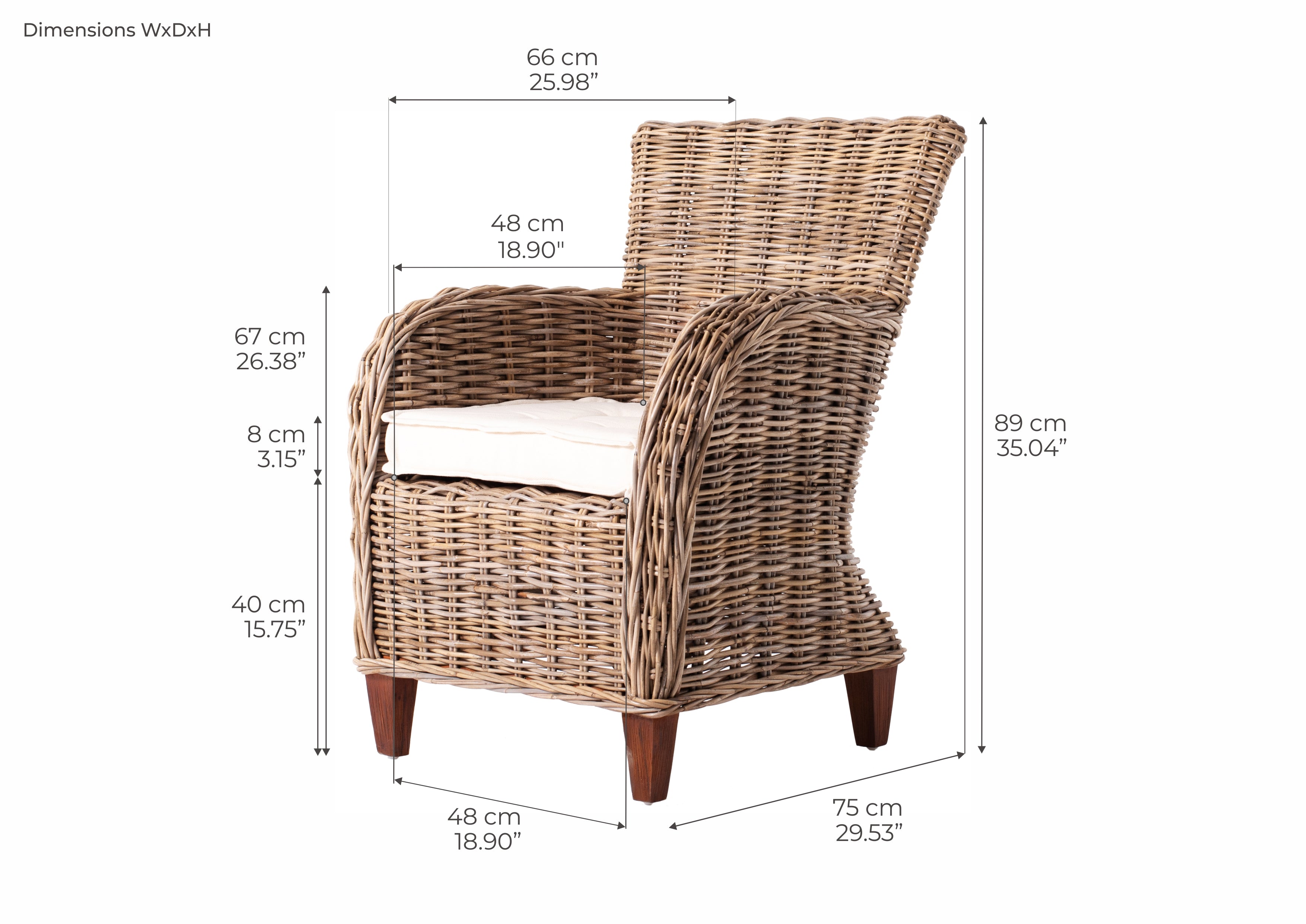 Tiana Beach Baroness Chair