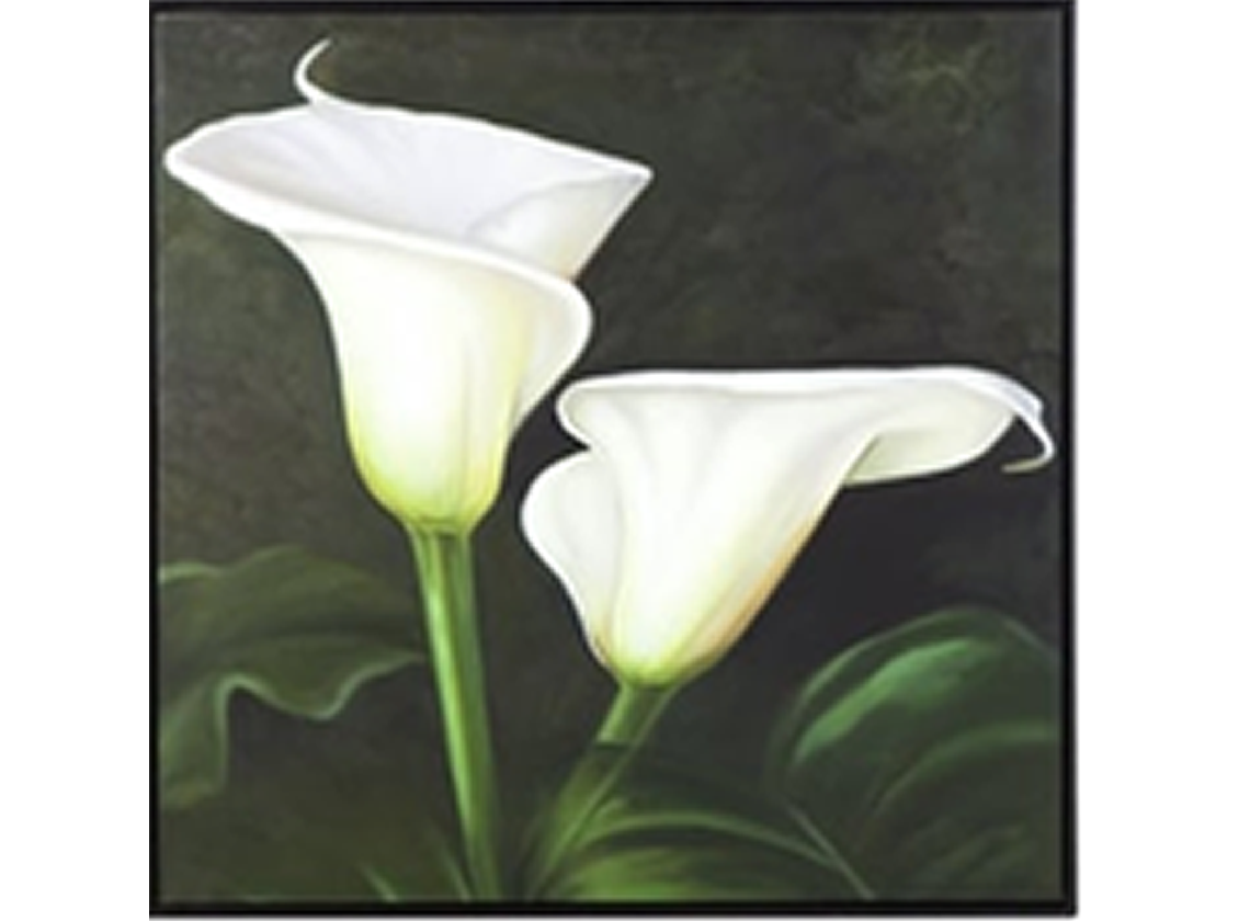 Calla Lillies Wall Art