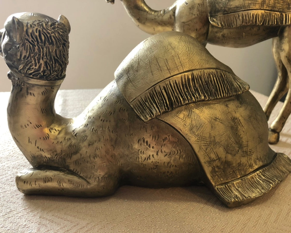 Cairo Sitting Camel