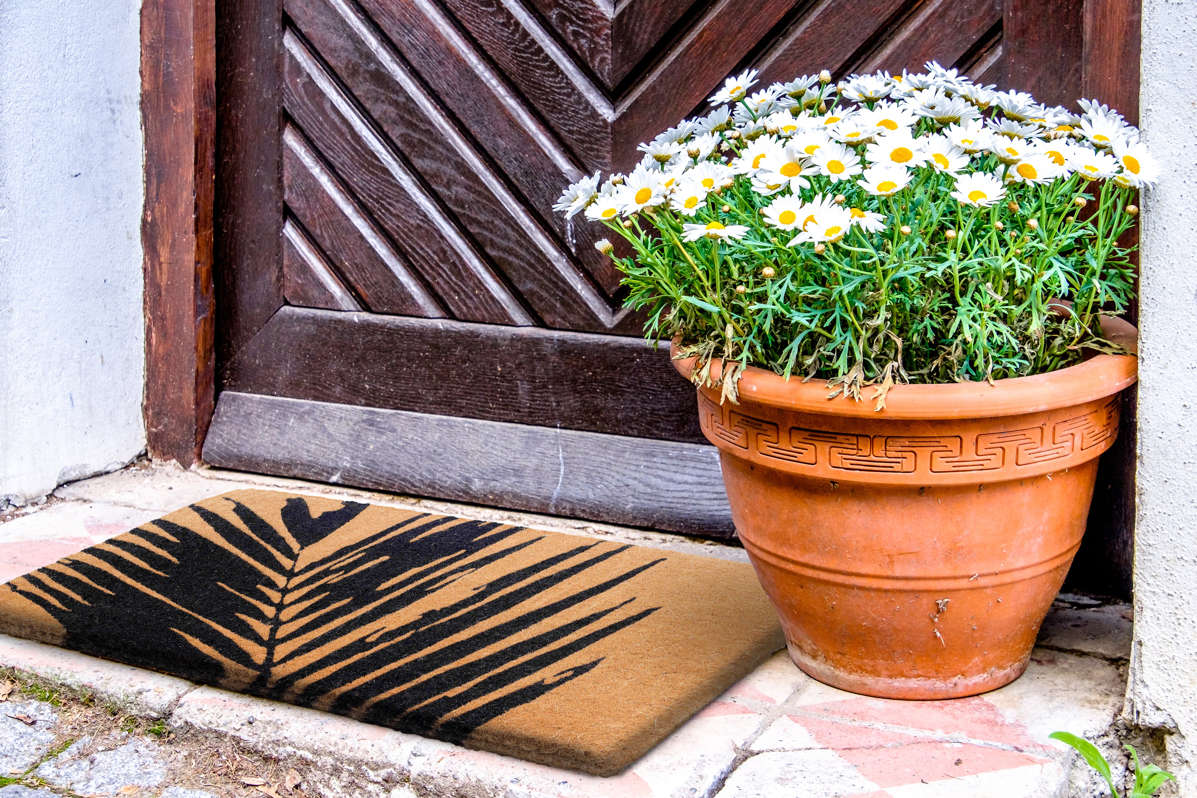 Fern 100% Coir Doormat
