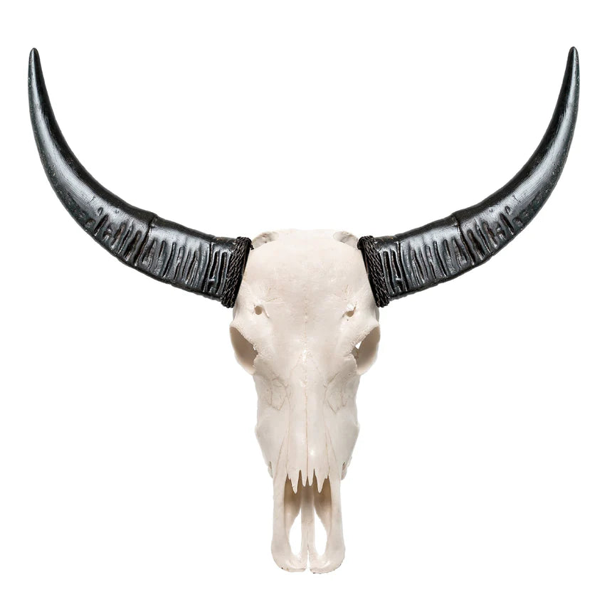 Copy of Raw Buffalo Skull