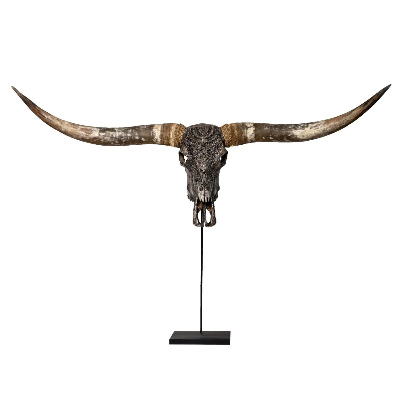 Buffalo Skull with Long Horns in Gold