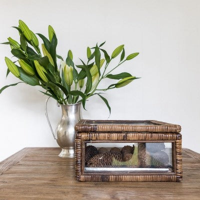 Rattan & Glass Display Box