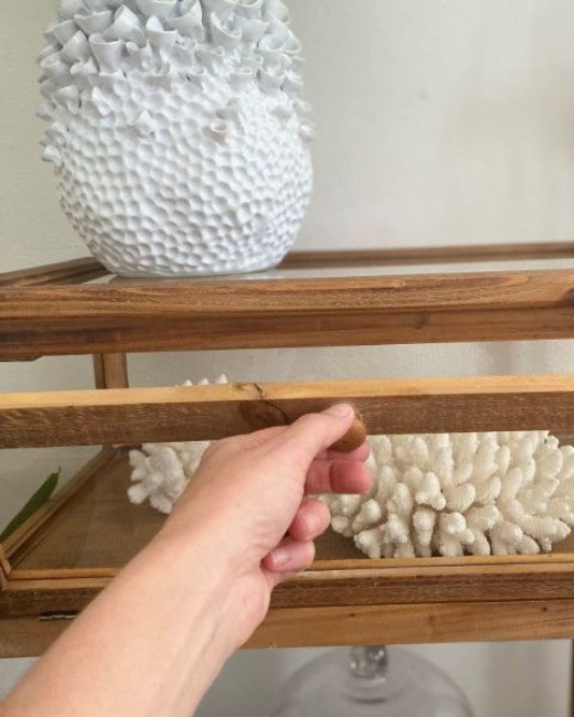 Timber & Glass Display Case Table