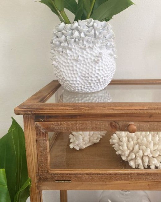 Timber & Glass Display Case Table