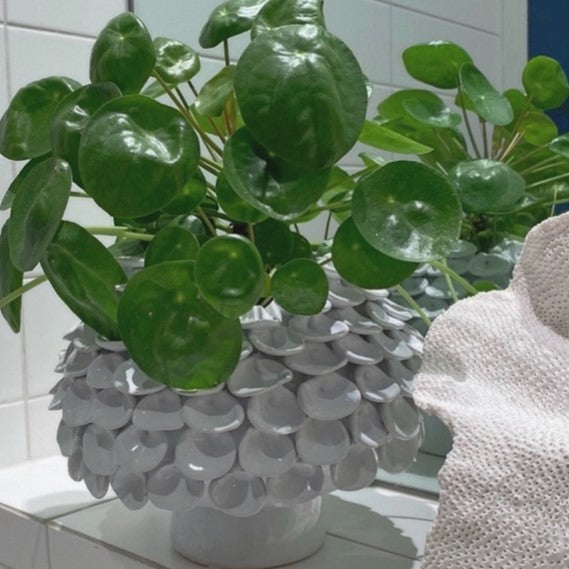 Water Cress Vase in White