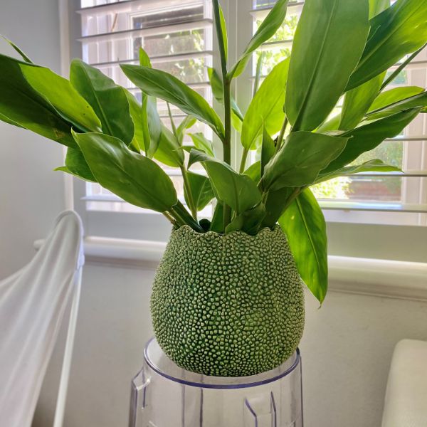 Lucie Vase in White
