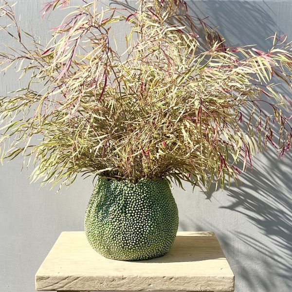 Lucie Vase in White