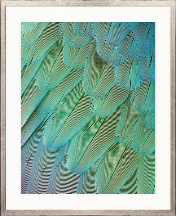 Exotic Feather I by Designer Boys