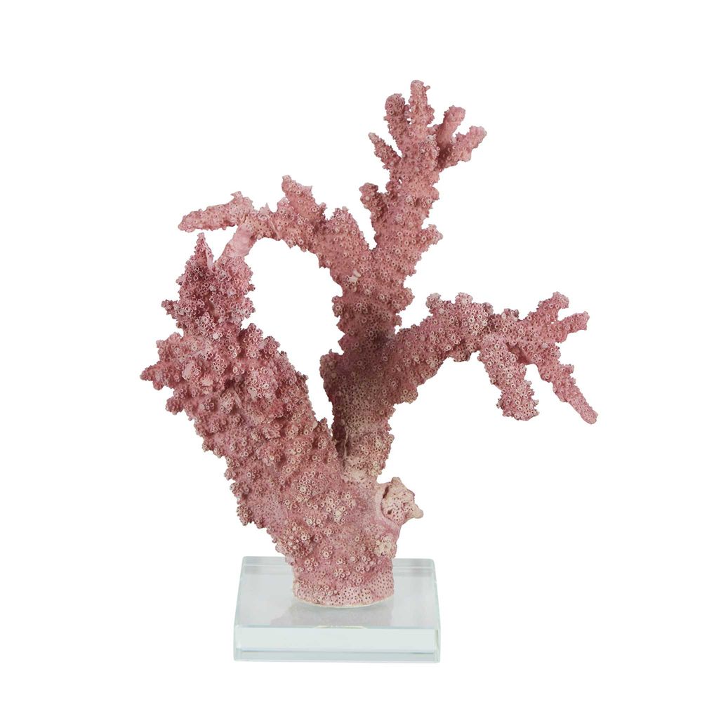 Florida Coral on Stand Mauve