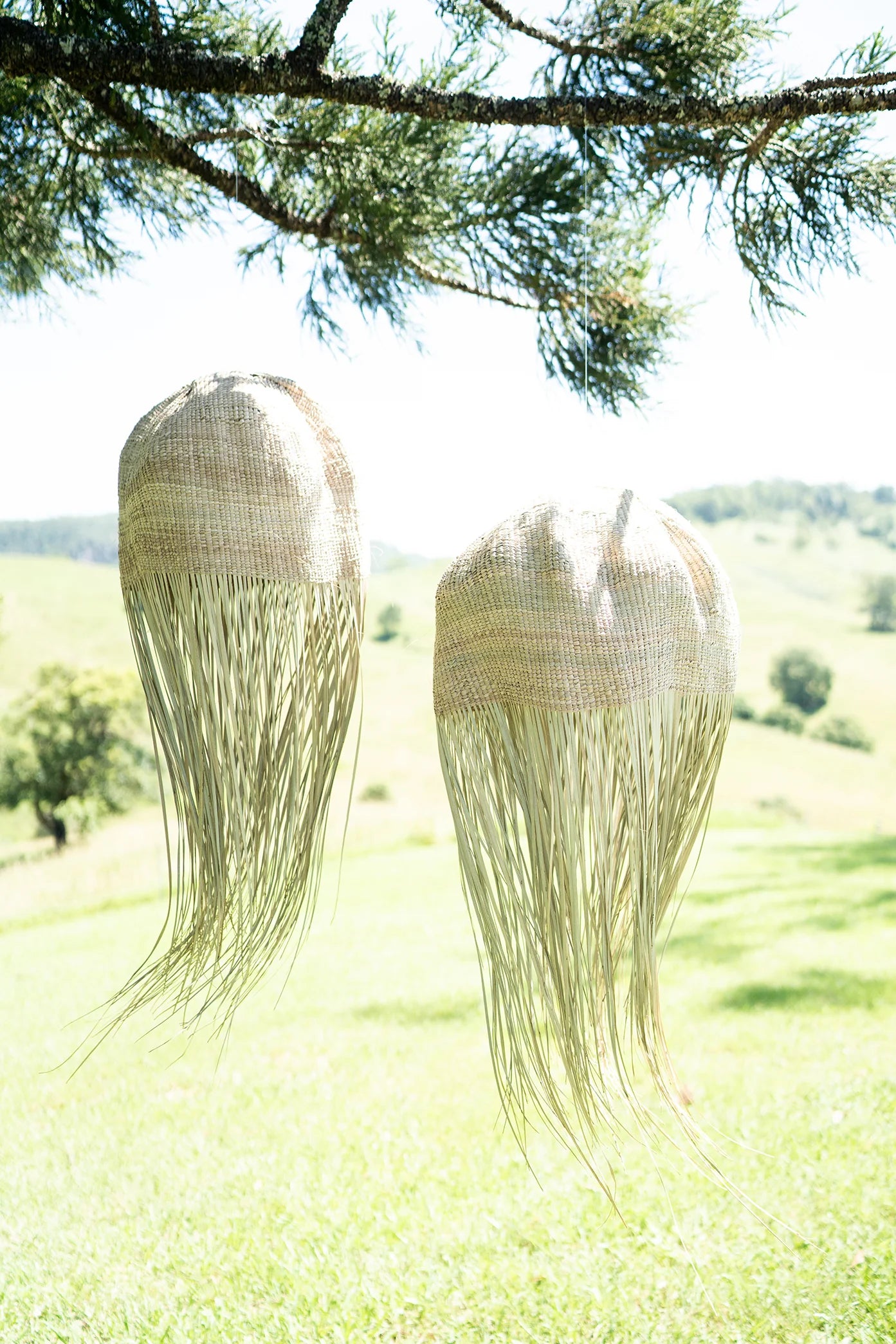 Jelly Fish Lampshade