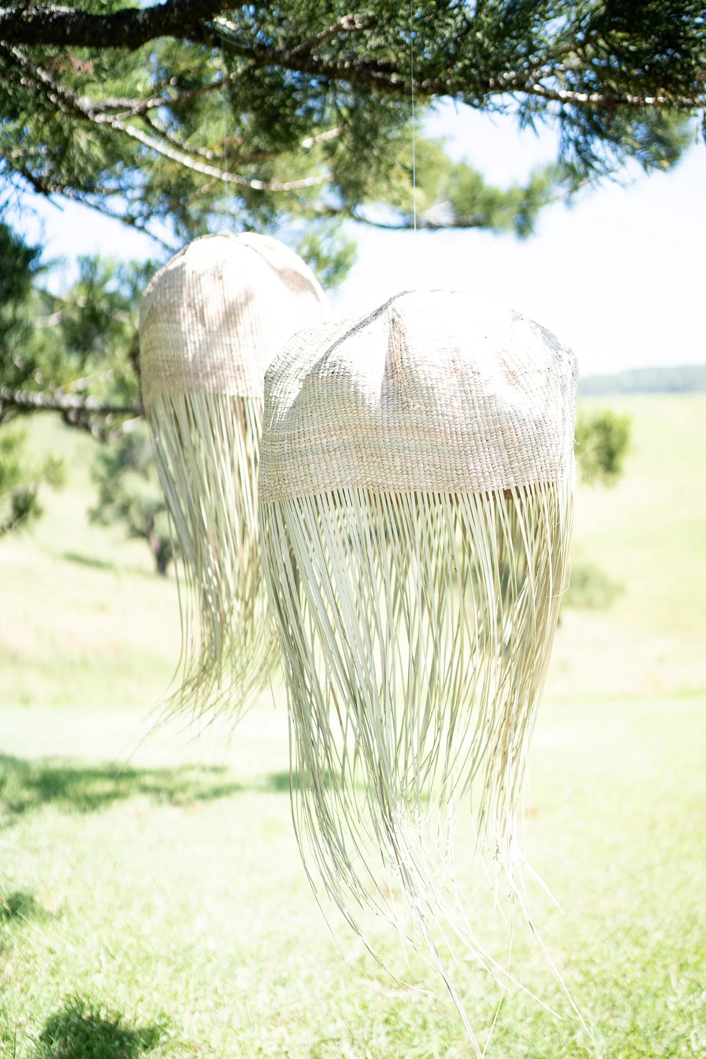 Jelly Fish Lampshade