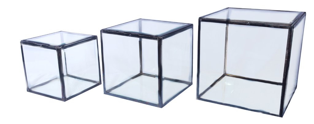 Antique Glass Display Box