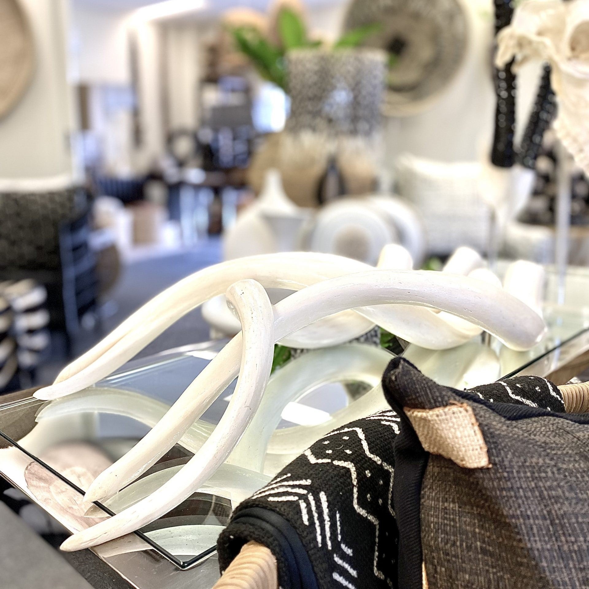 Jola Horns Decorative Display