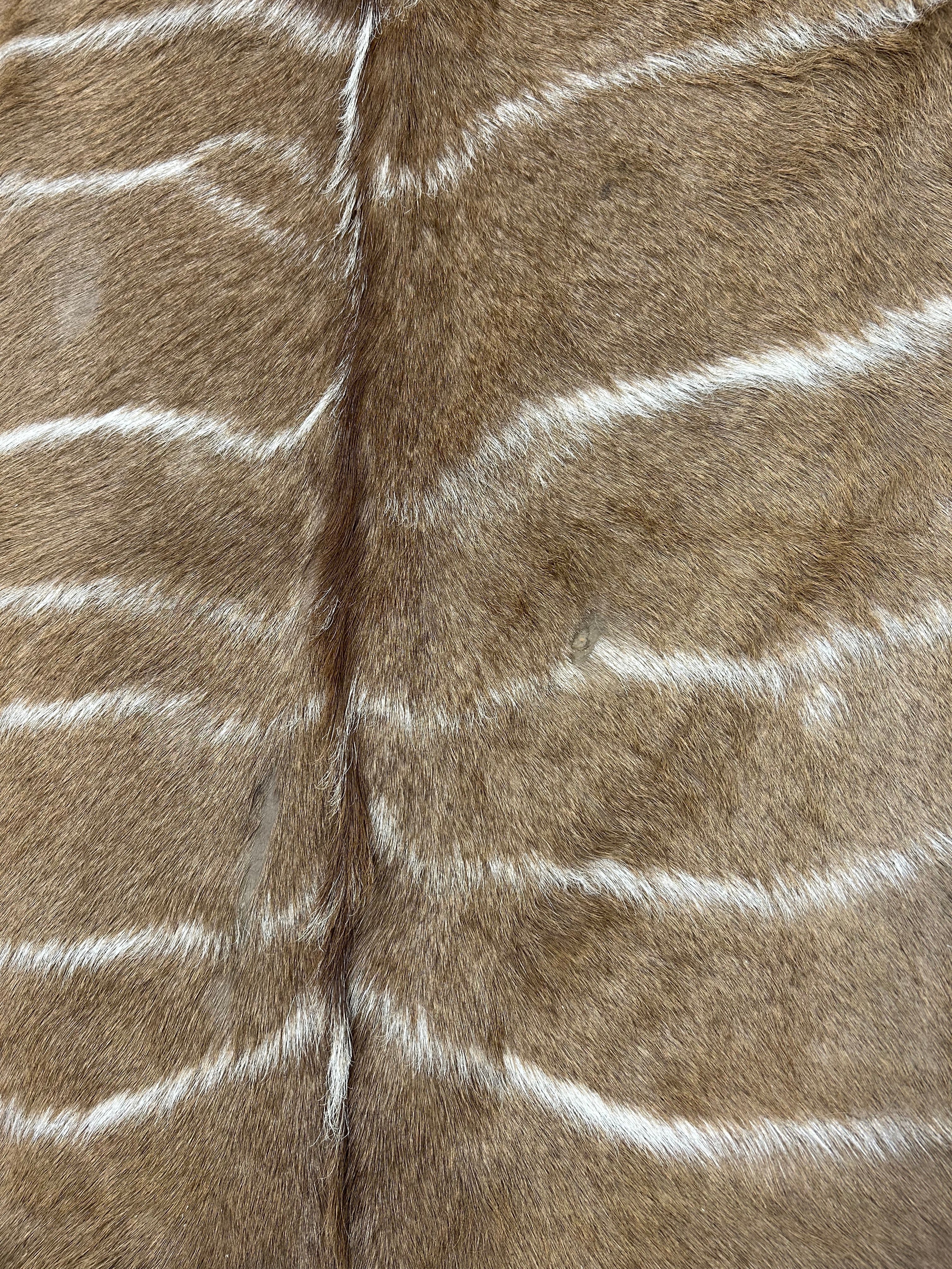 Kudu Hide Rug