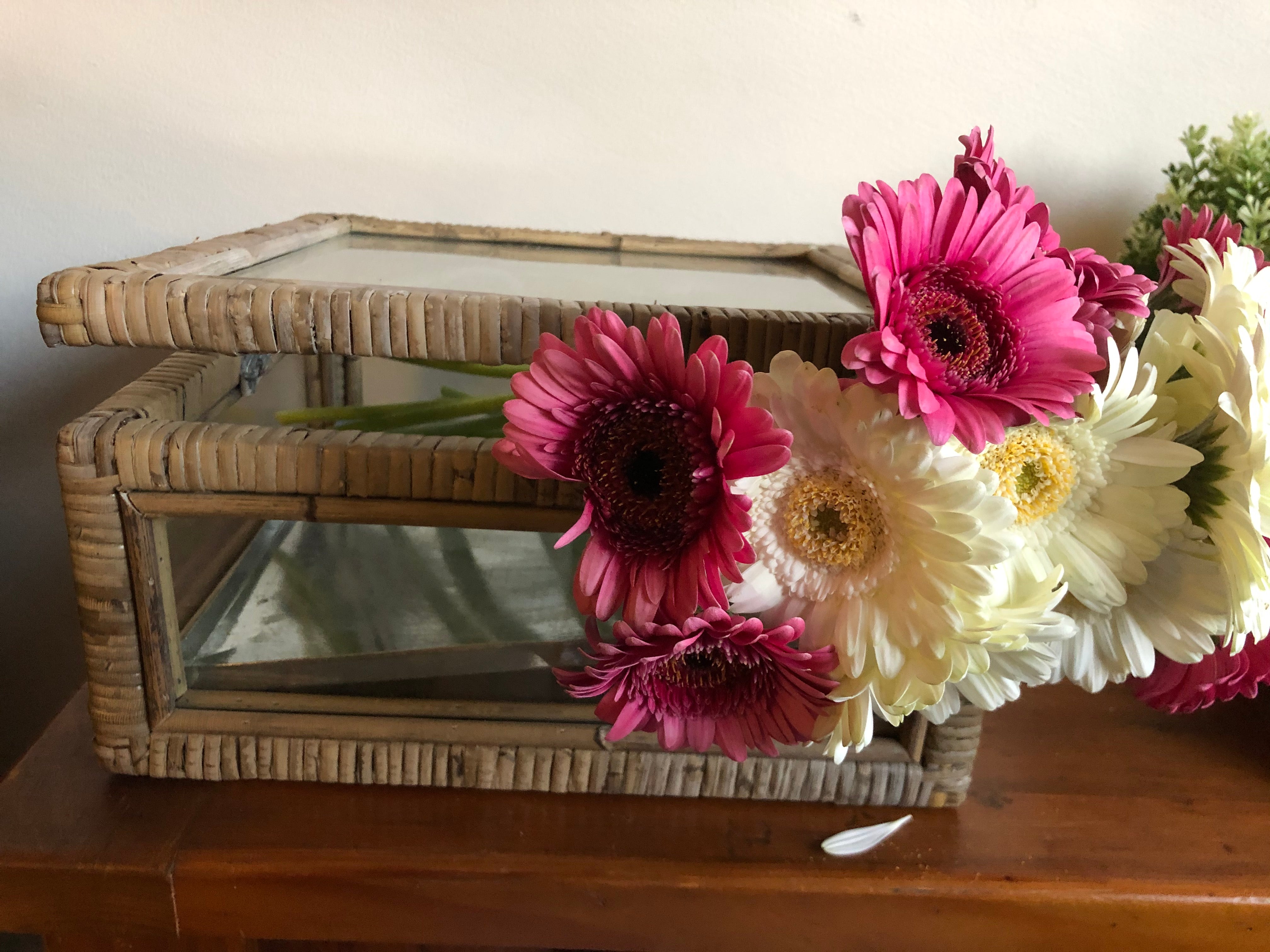 Rattan & Glass Display Box