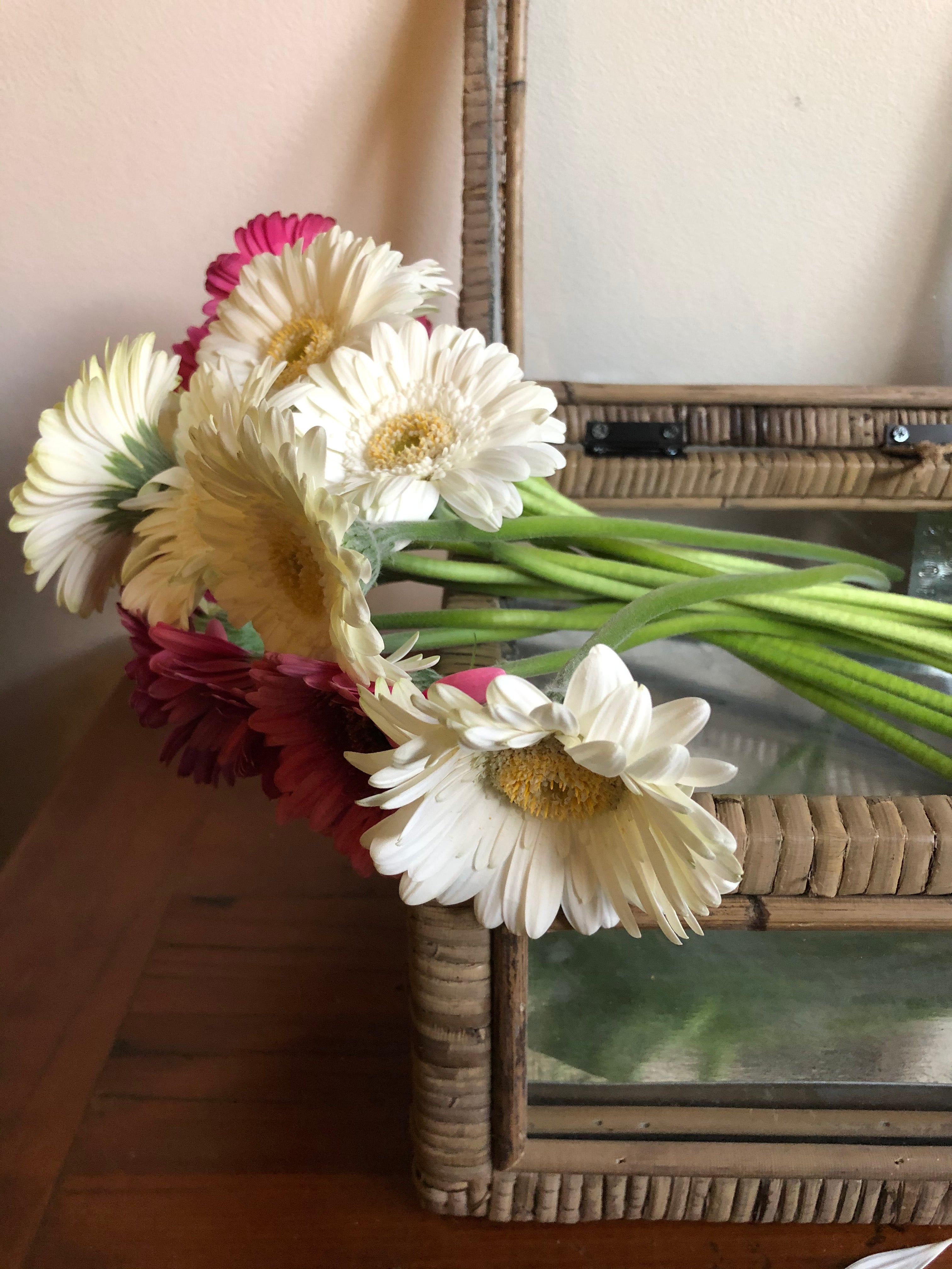 Rattan & Glass Display Box