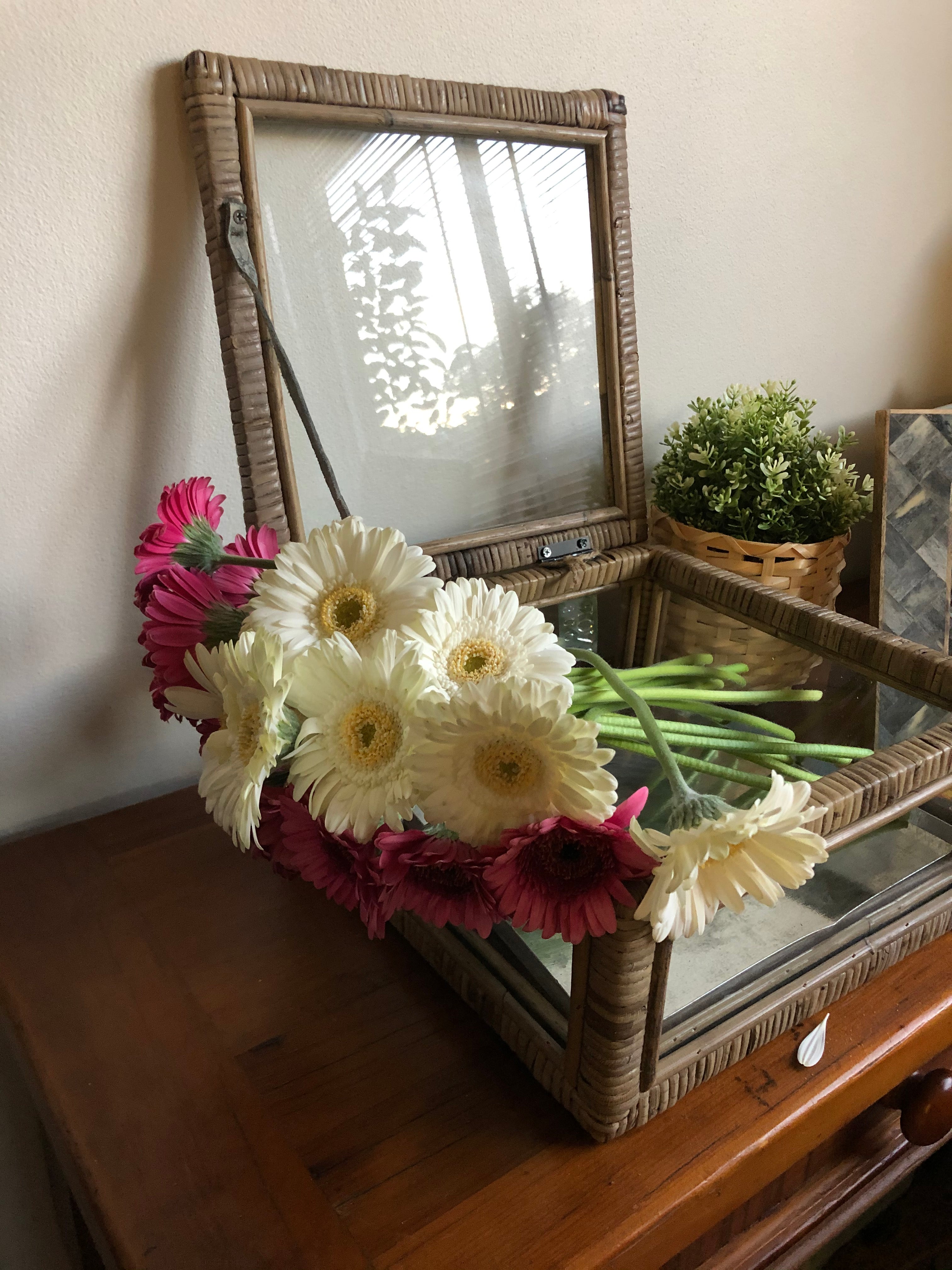 Rattan & Glass Display Box