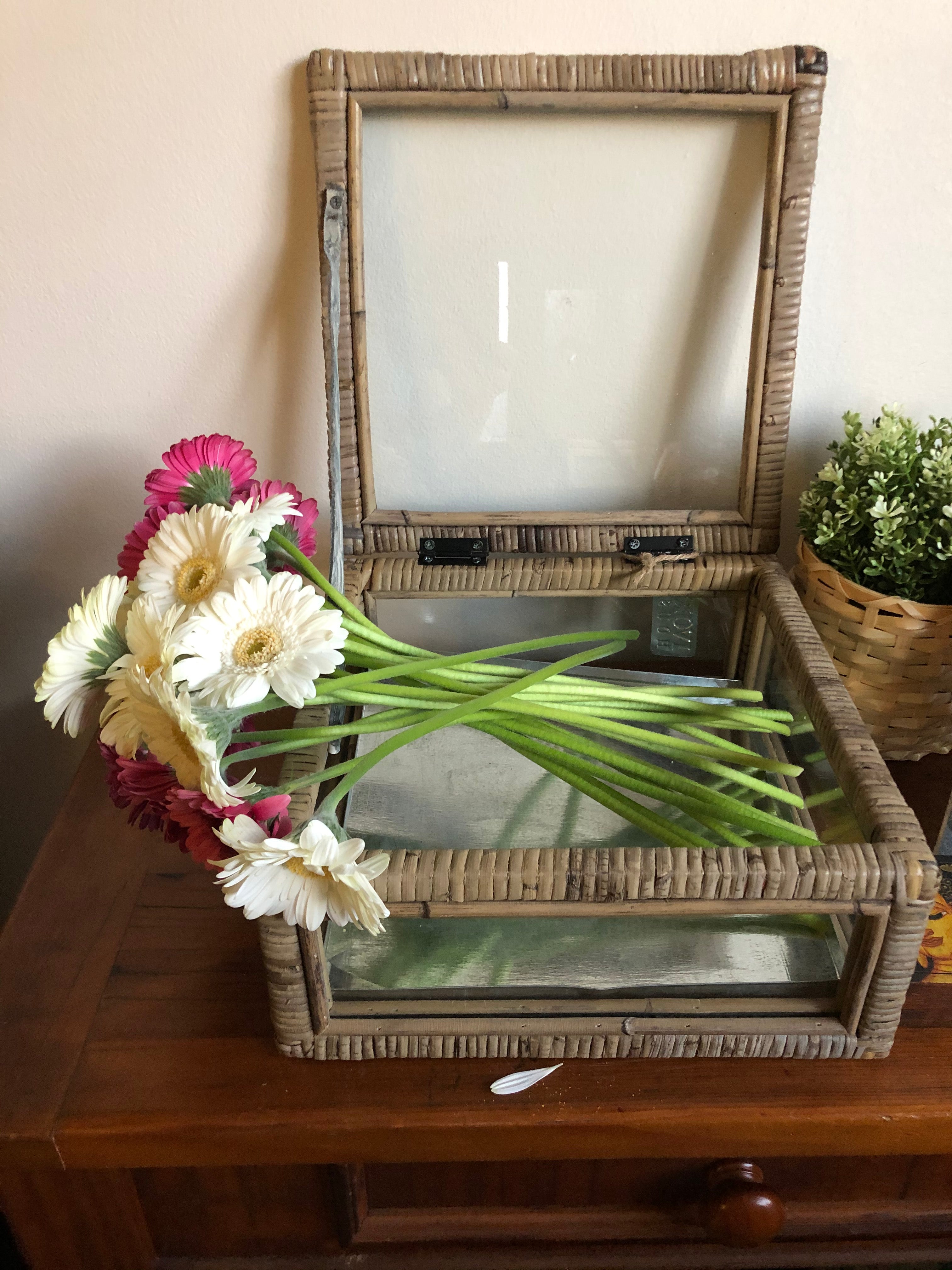 Rattan & Glass Display Box