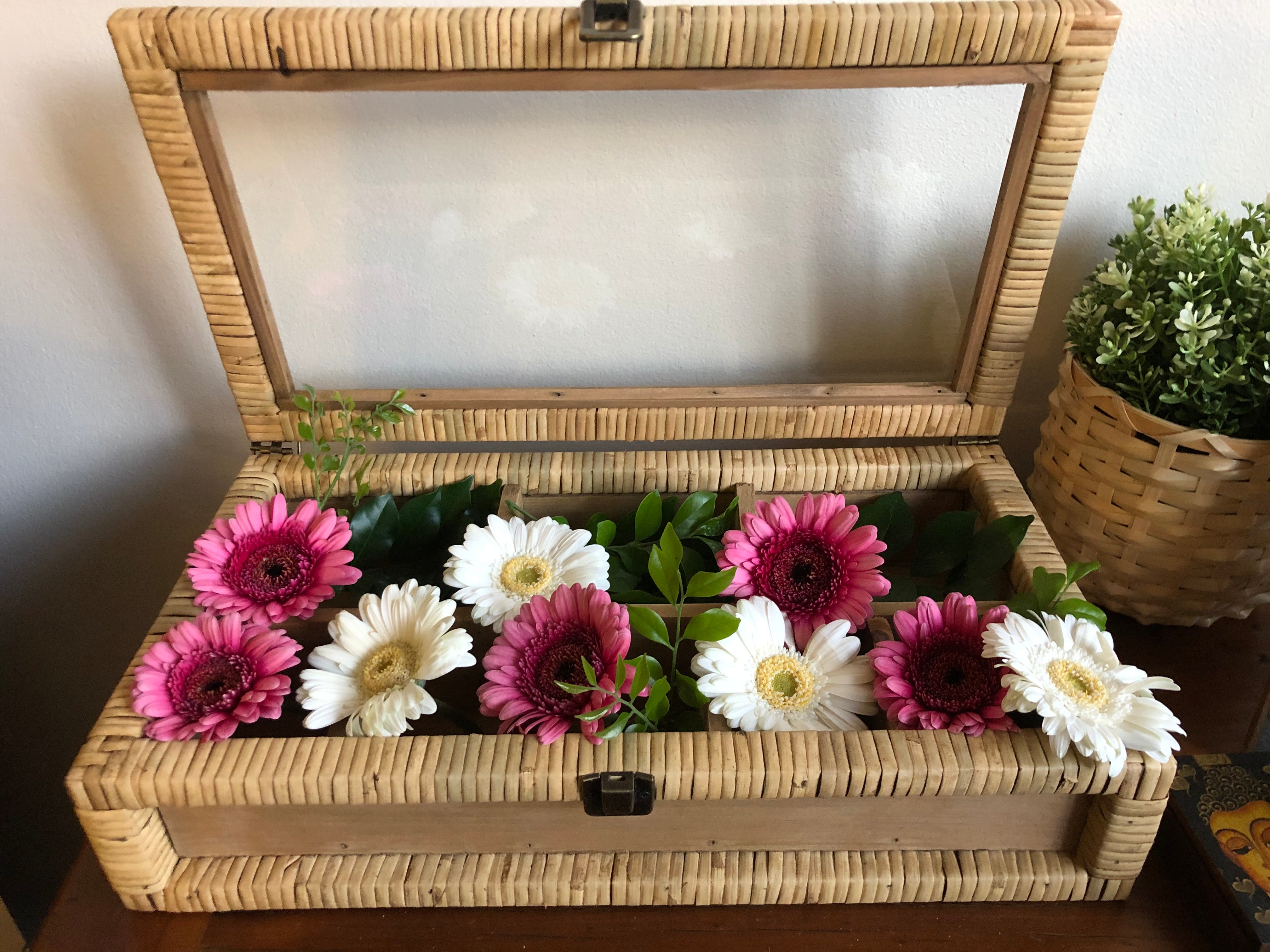 Rattan & Glass Display Box - Small