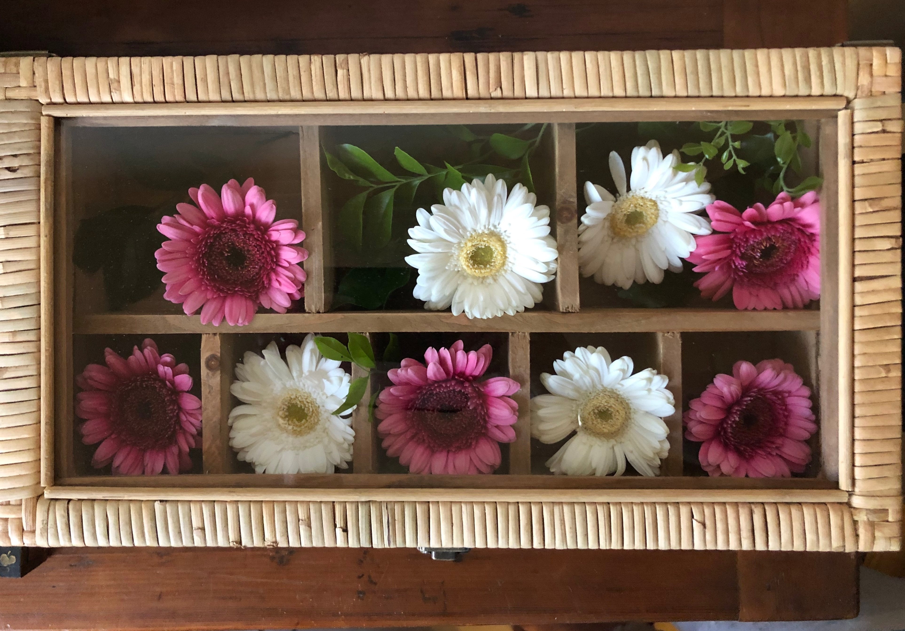 Rattan & Glass Display Box - Medium