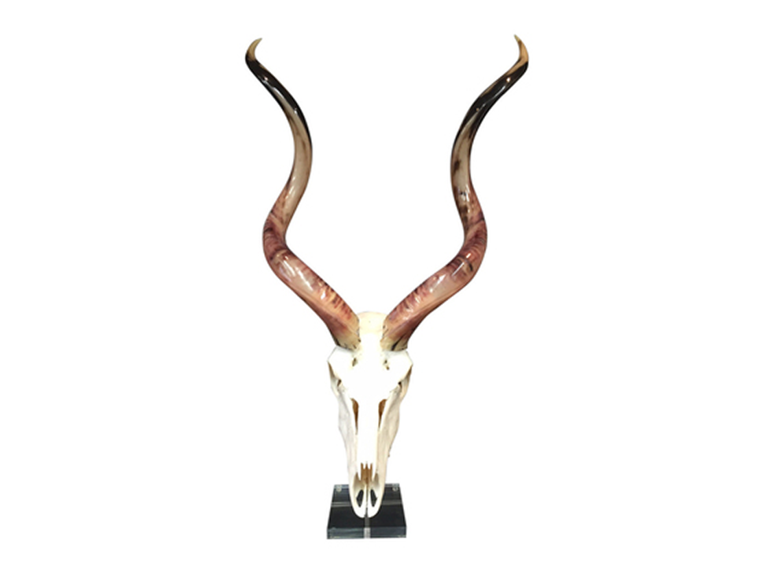 Mounted Polished Kudu