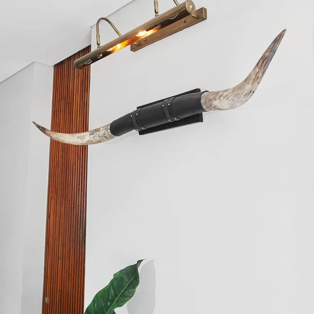 Buffalo Long Horns