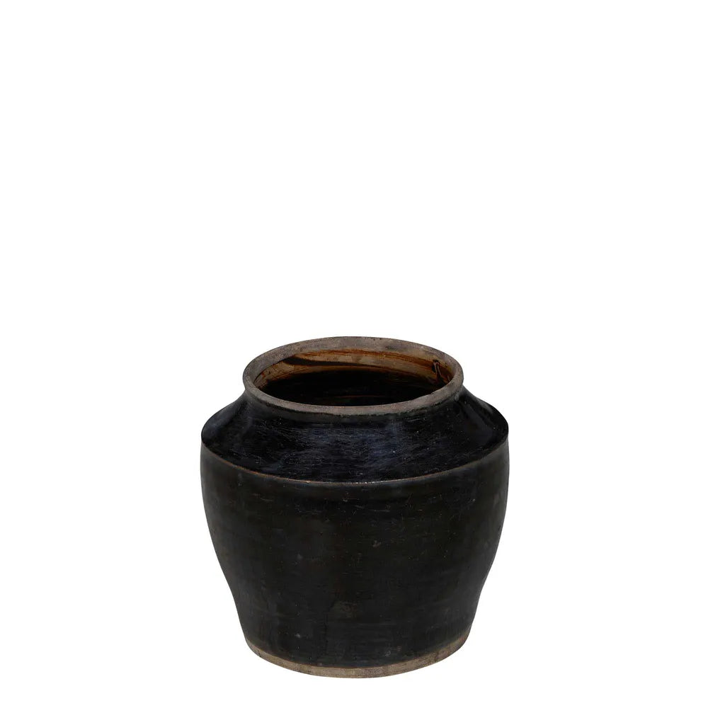 Black Orchid with 120 year old Shanxi Pot