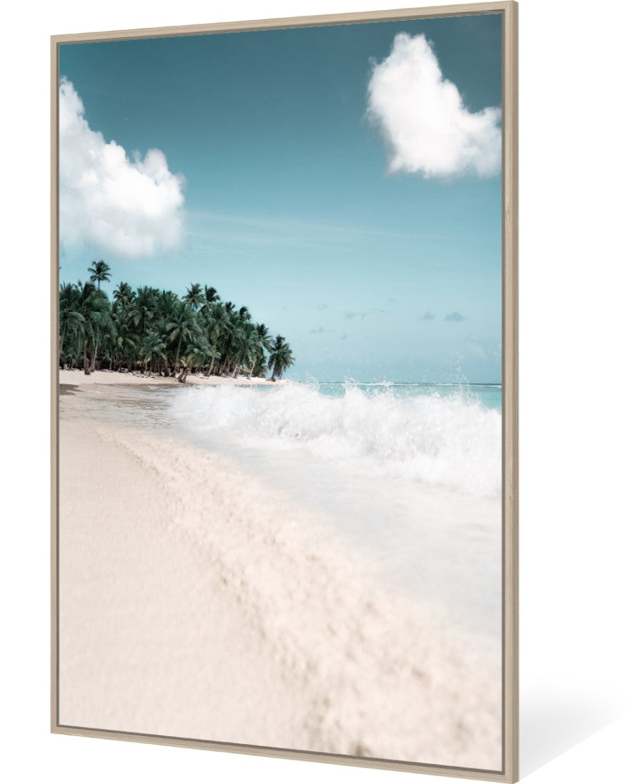 Palm Beach Canvas
