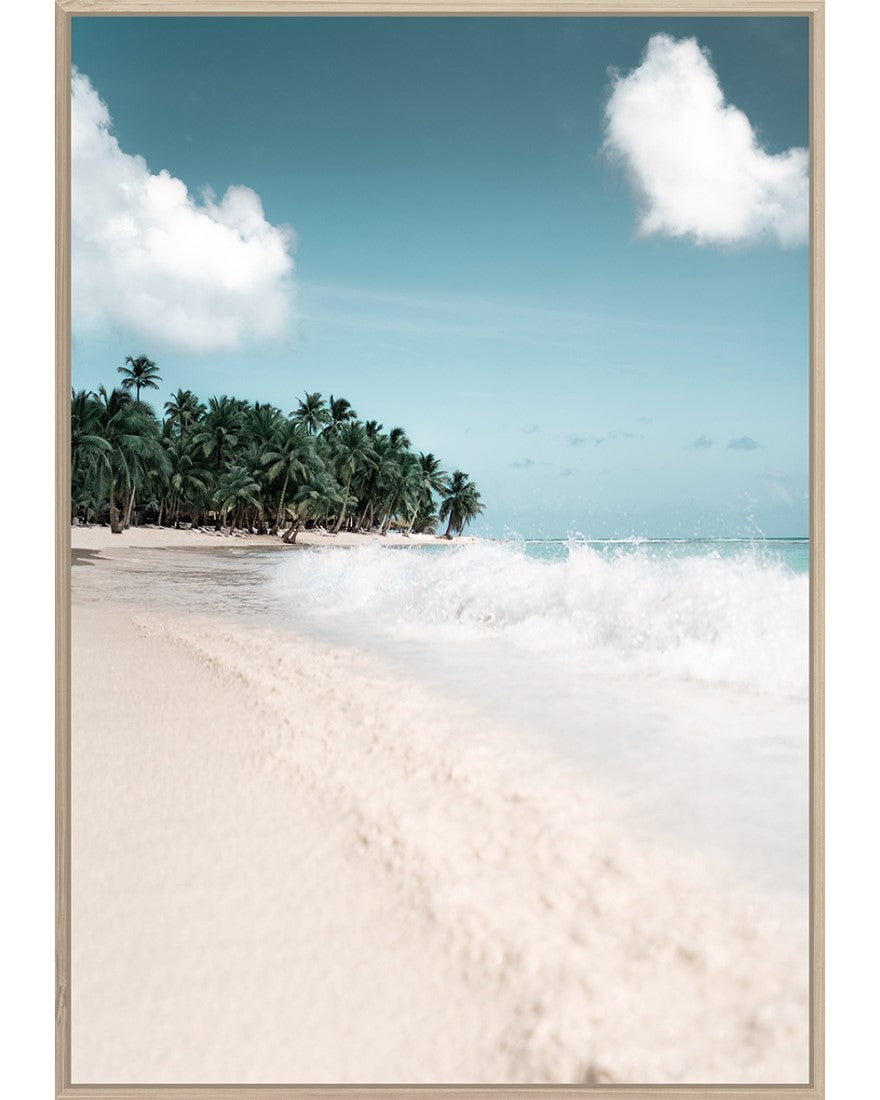 Palm Beach Canvas