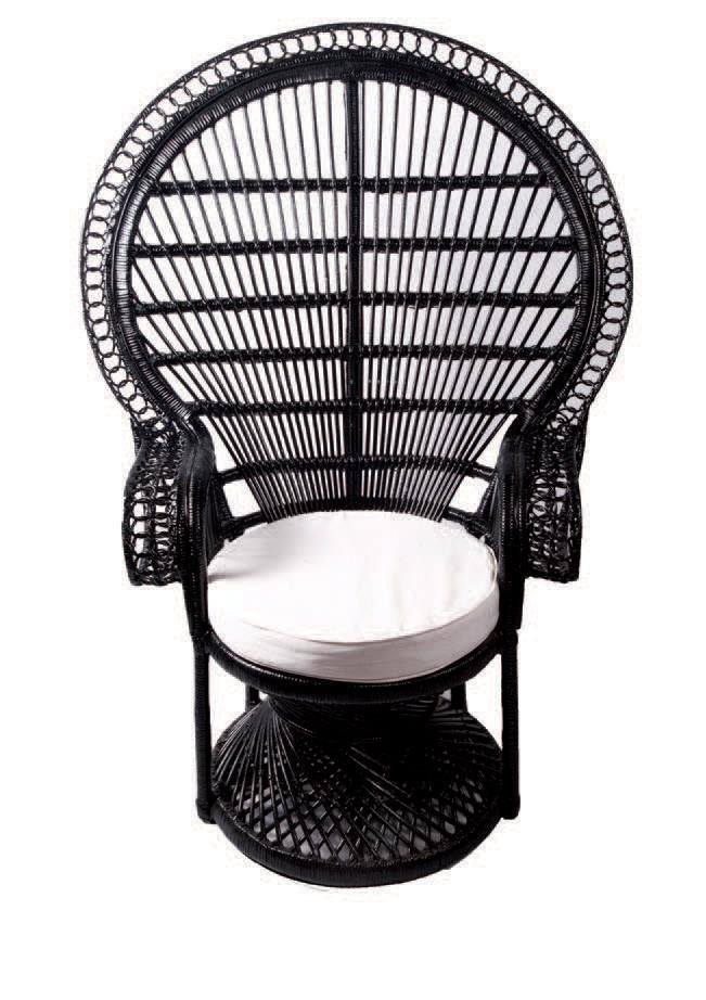 Peacock Chair in Colours