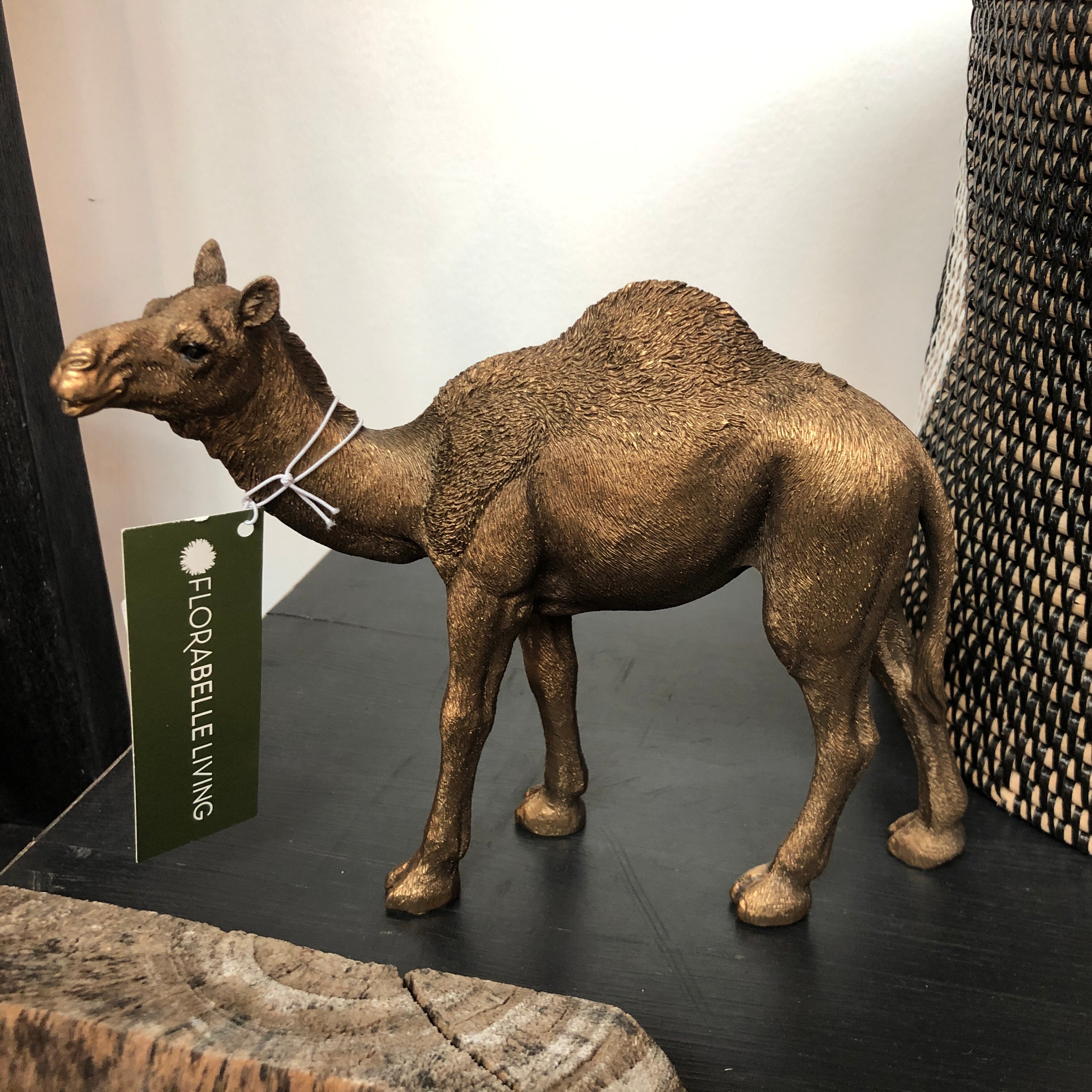 Cairo Standing Camel