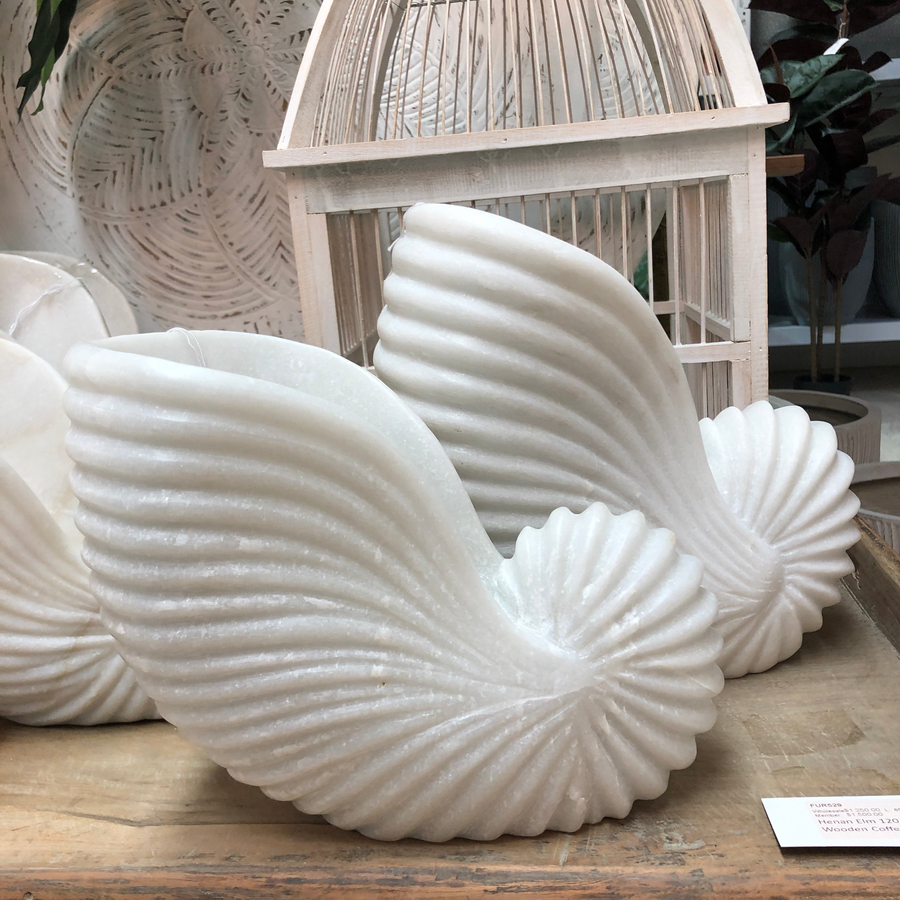 Marble Conch