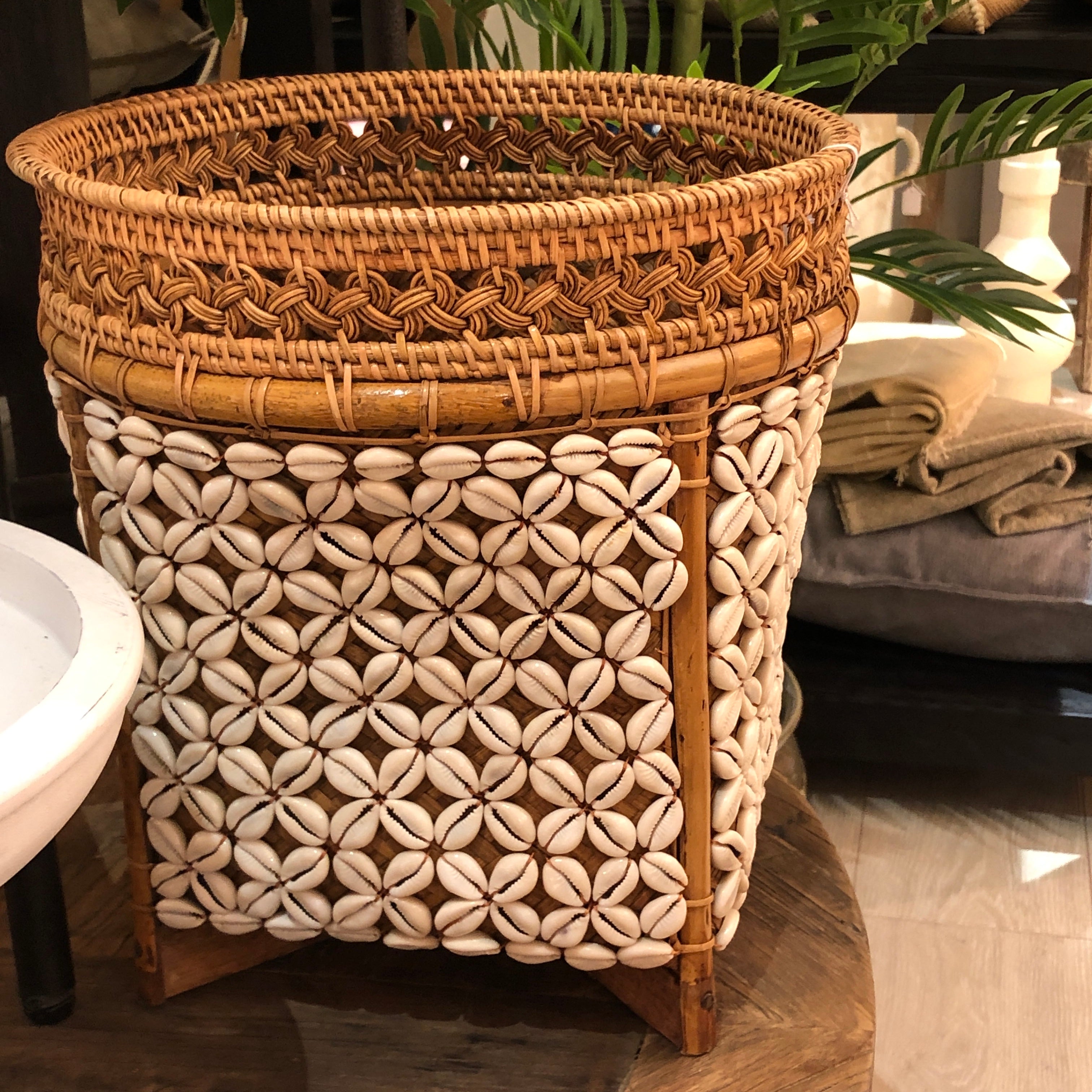 Shell Planter