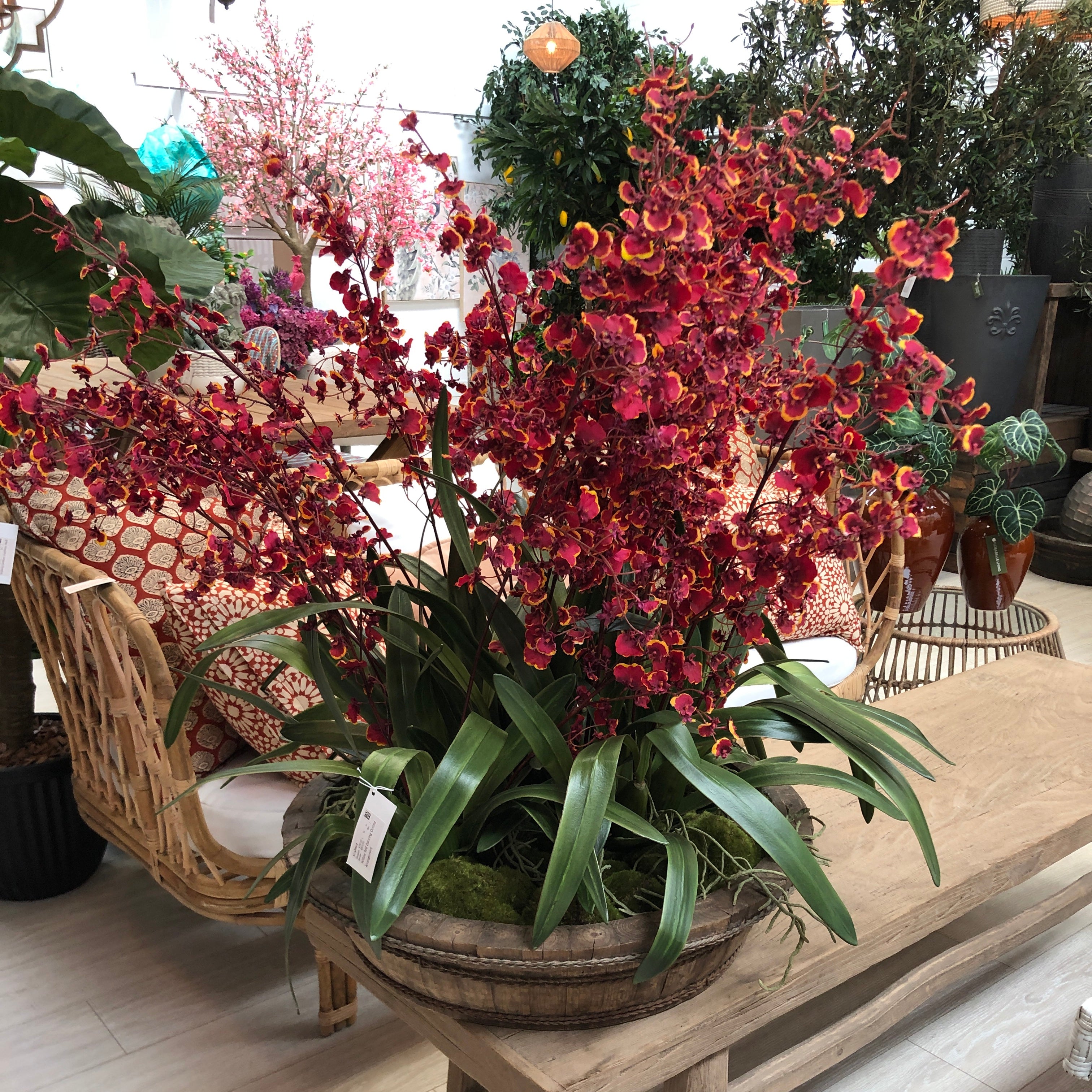Red Dancing Orchid Cluster