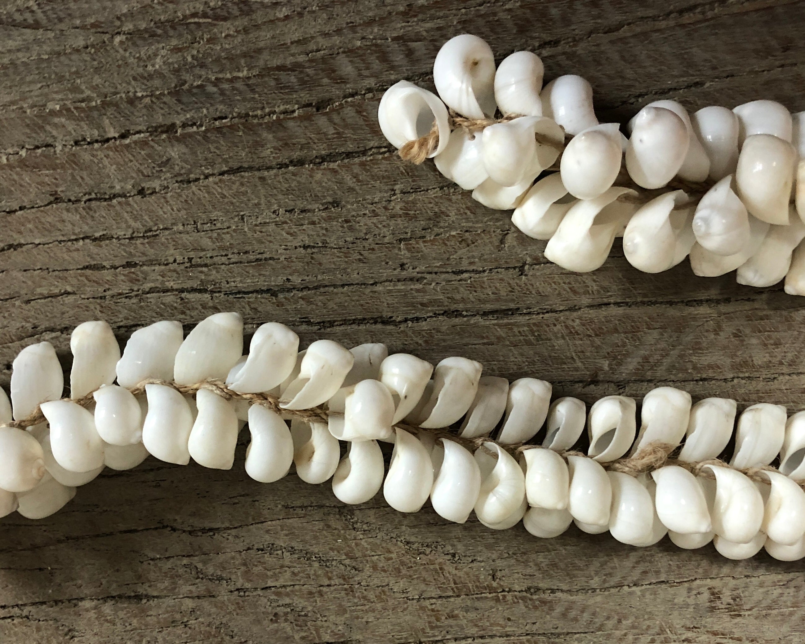 Whitewater Natural Shell Jute Tassel