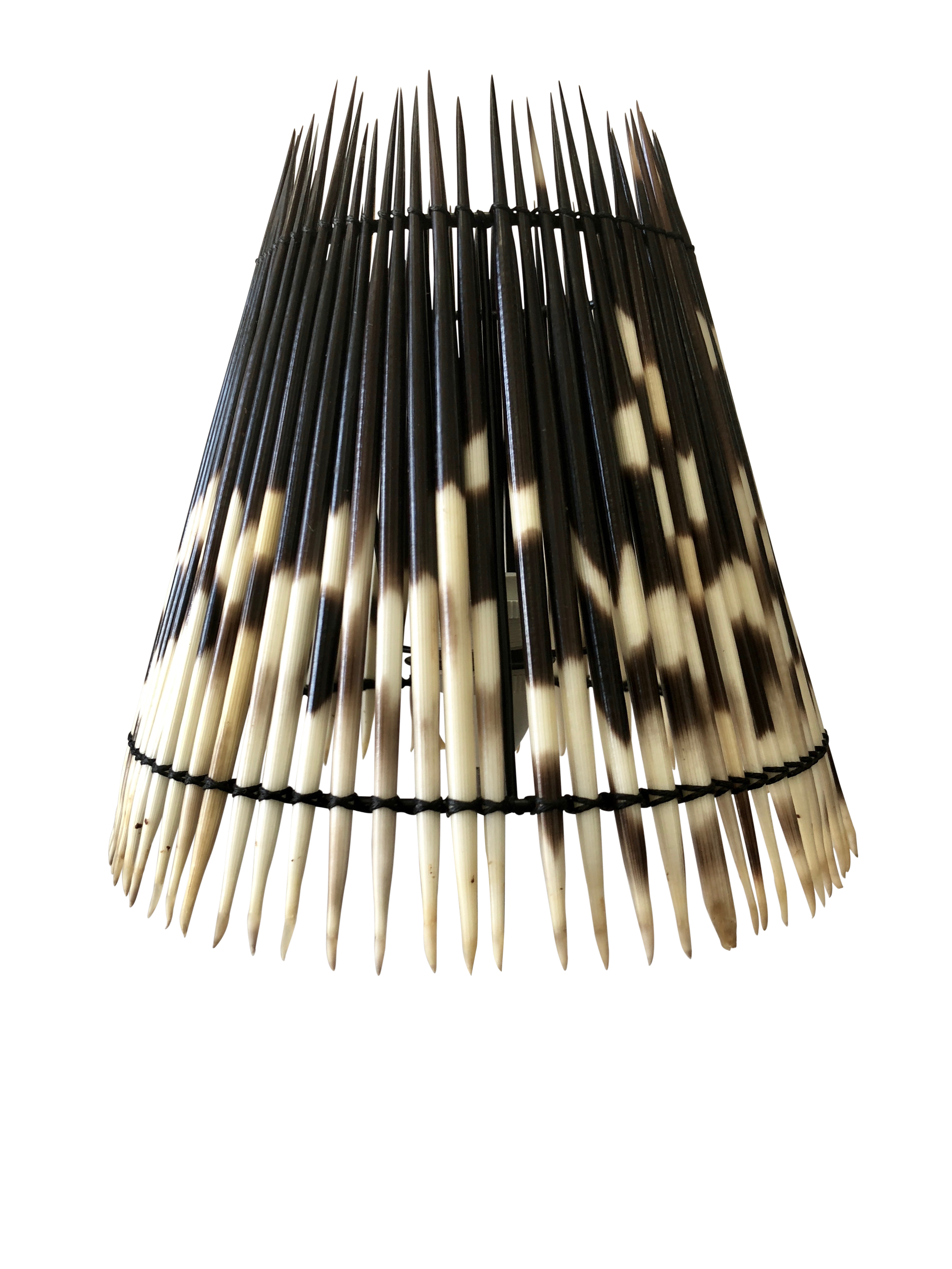 Porcupine Lamp Shades