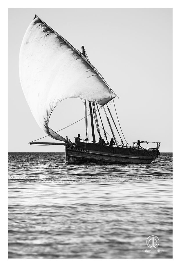 Saateni David Ballam Photography with Frame