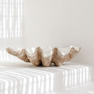 Clam Shell - Natural Look