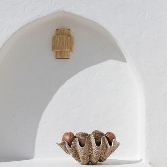 Clam Shell - Natural Look