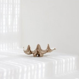 Clam Shell - Natural Look