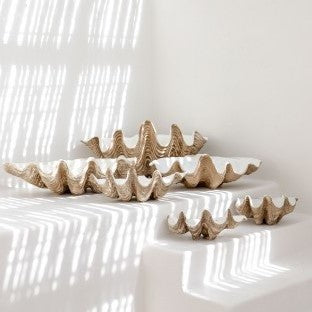 Clam Shell - Natural Look