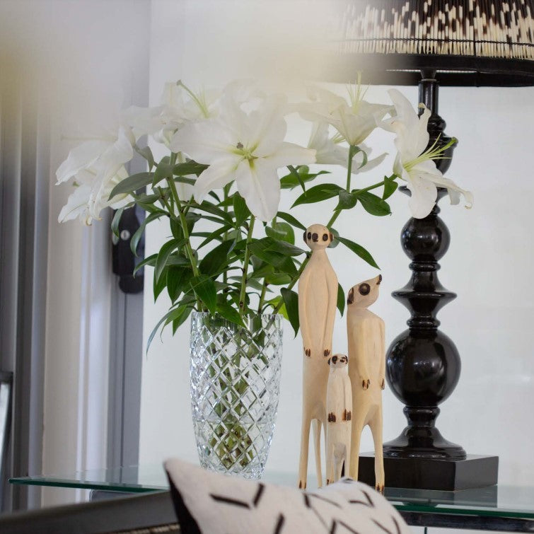 Porcupine Lamp Shades