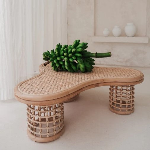 Palmie Coffee Table